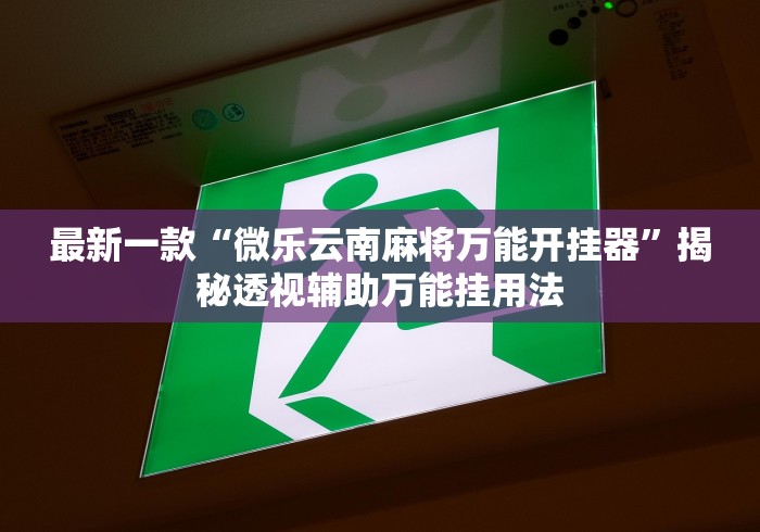 最新一款“微乐云南麻将万能开挂器”揭秘透视辅助万能挂用法