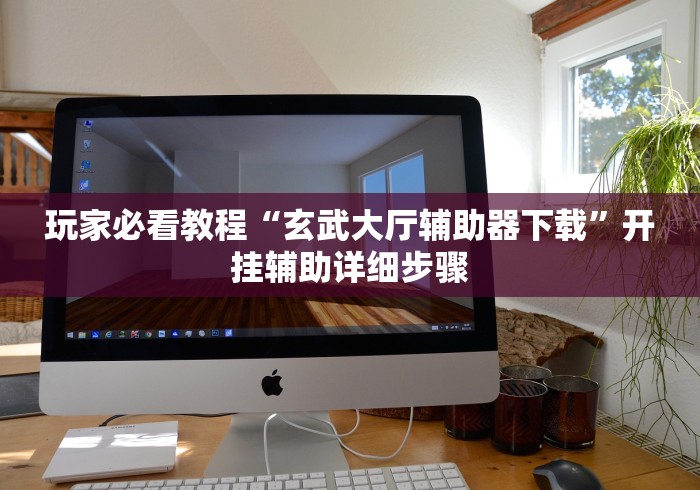 玩家必看教程“玄武大厅辅助器下载”开挂辅助详细步骤