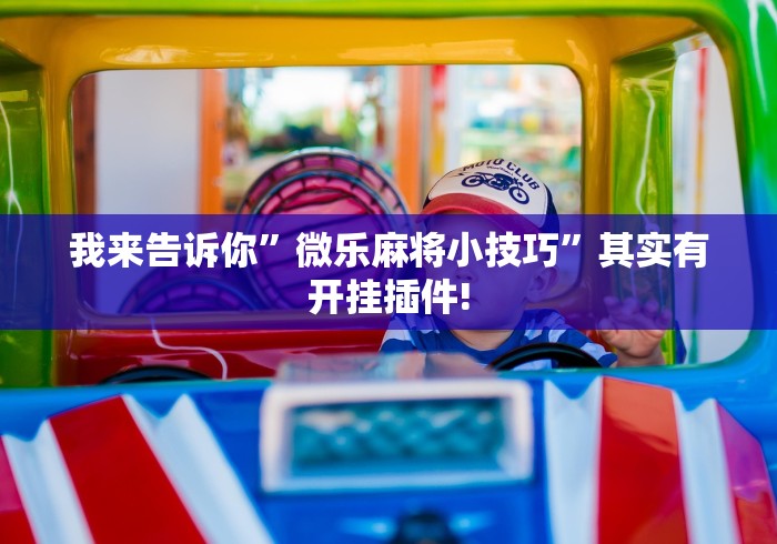 我来告诉你”微乐麻将小技巧”其实有开挂插件!