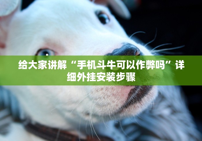 给大家讲解“手机斗牛可以作弊吗”详细外挂安装步骤