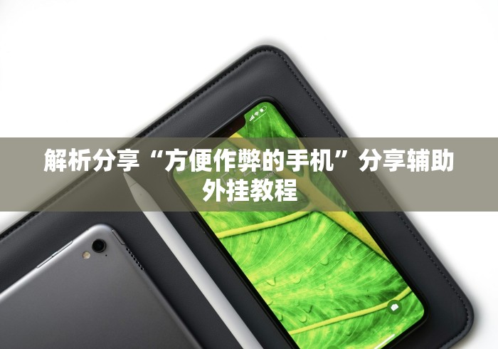 解析分享“方便作弊的手机”分享辅助外挂教程
