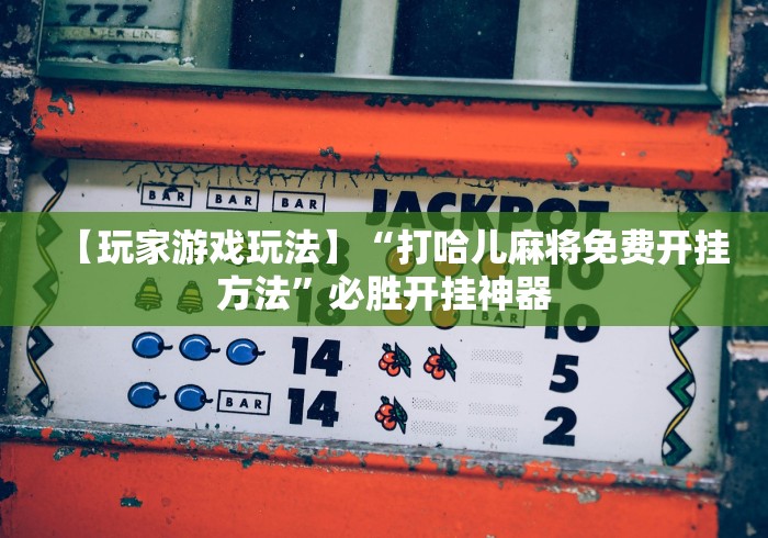 【玩家游戏玩法】“打哈儿麻将免费开挂方法	”必胜开挂神器
