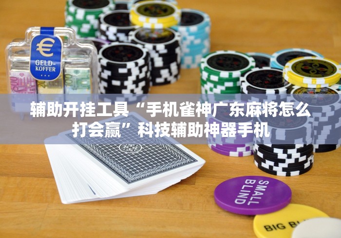 辅助开挂工具“手机雀神广东麻将怎么打会赢”科技辅助神器手机