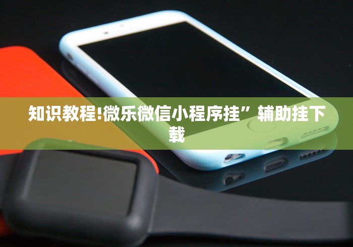知识教程!微乐微信小程序挂”辅助挂下载