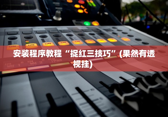 安装程序教程“捉红三技巧	”(果然有透视挂) 