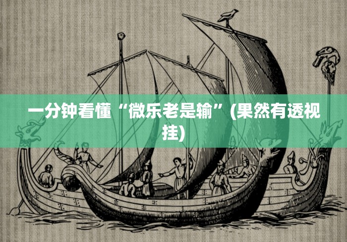 一分钟看懂“微乐老是输”(果然有透视挂)