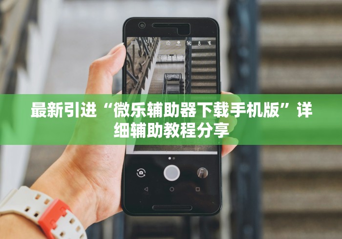 最新引进“微乐辅助器下载手机版”详细辅助教程分享