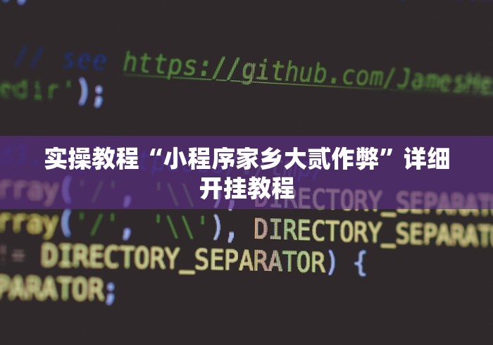 实操教程“小程序家乡大贰作弊”详细开挂教程