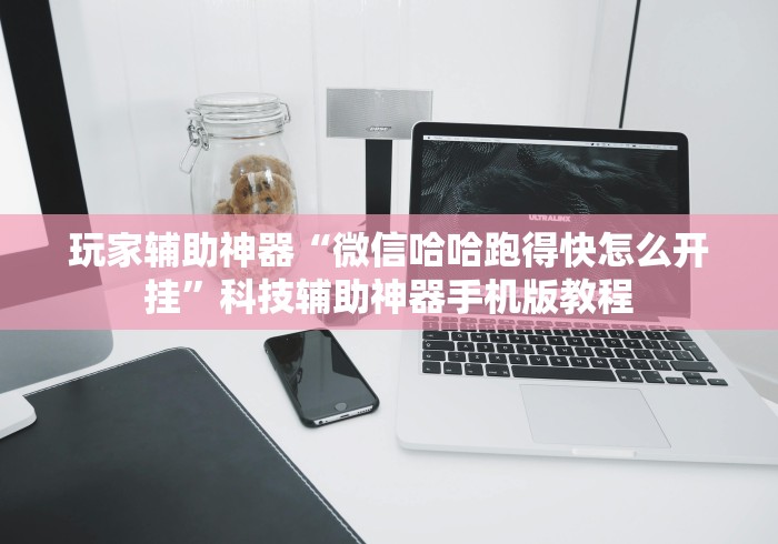 玩家辅助神器“微信哈哈跑得快怎么开挂”科技辅助神器手机版教程