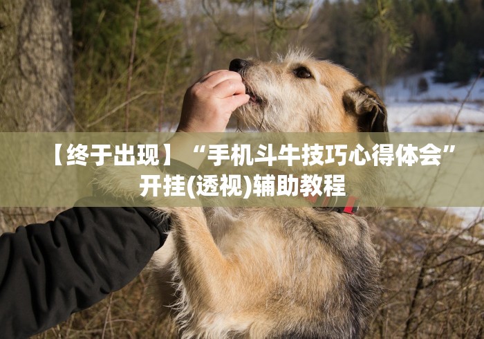 【终于出现】“手机斗牛技巧心得体会	”开挂(透视)辅助教程