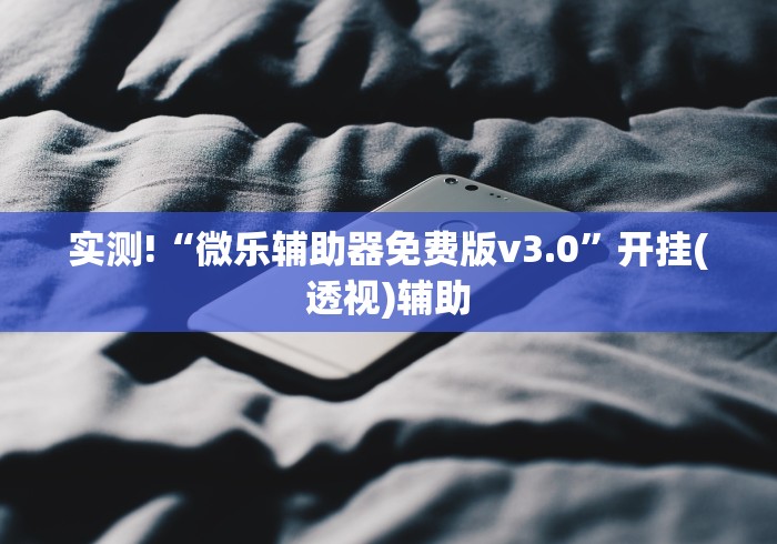 实测!“微乐辅助器免费版v3.0	”开挂(透视)辅助