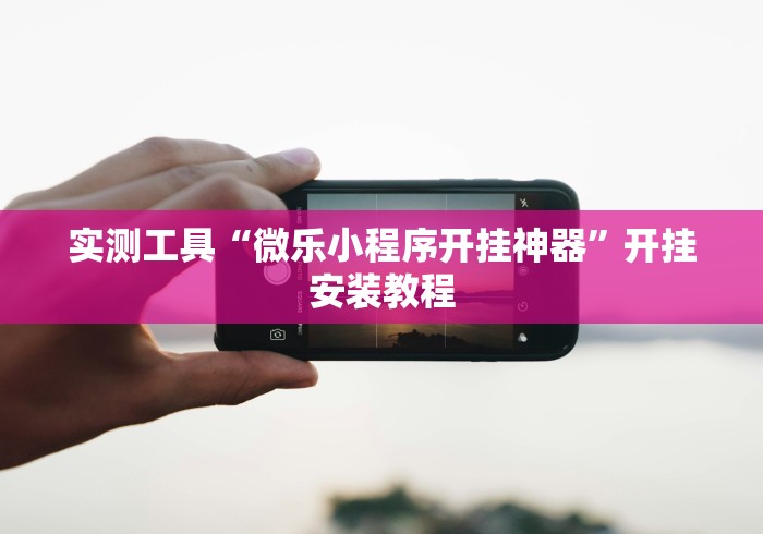 实测工具“微乐小程序开挂神器”开挂安装教程
