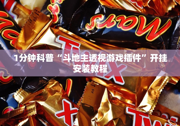 1分钟科普“斗地主透视游戏插件”开挂安装教程