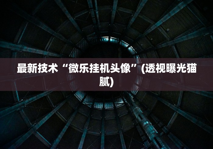 最新技术“微乐挂机头像”(透视曝光猫腻)