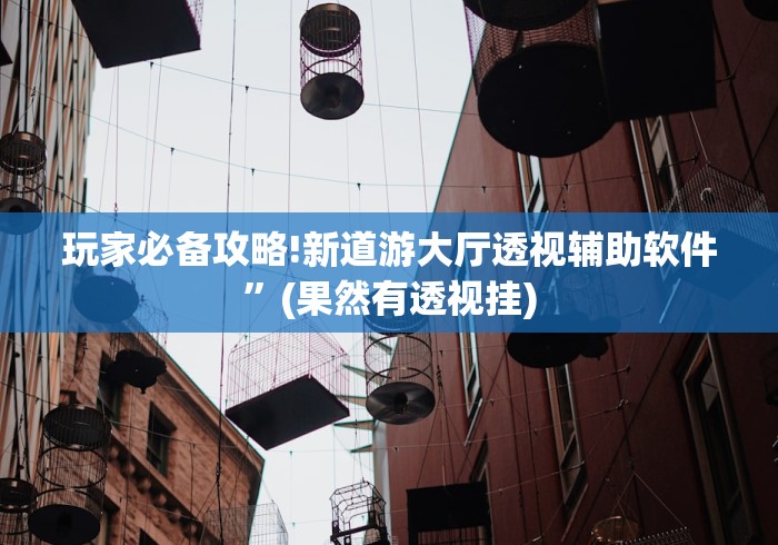 玩家必备攻略!新道游大厅透视辅助软件”(果然有透视挂)