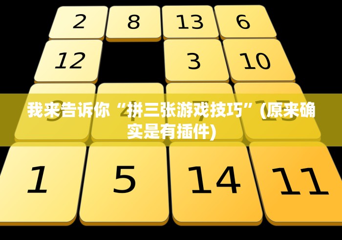 我来告诉你“拼三张游戏技巧”(原来确实是有插件)