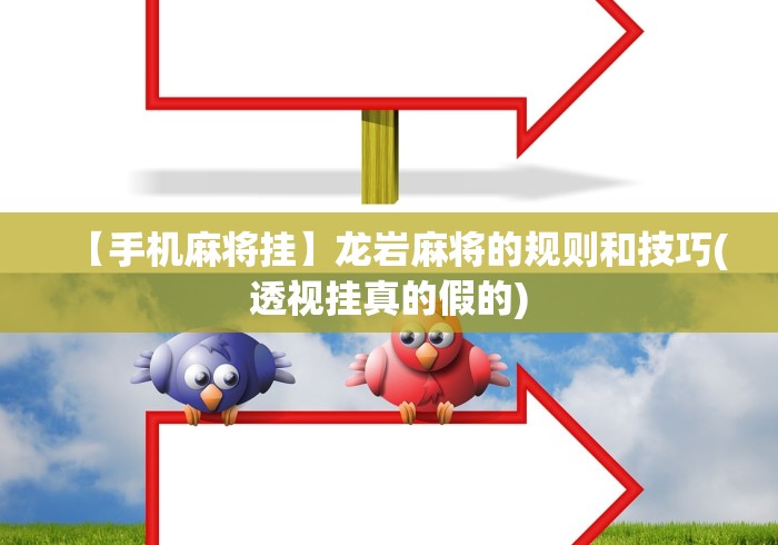 【手机麻将挂】龙岩麻将的规则和技巧(透视挂真的假的)
