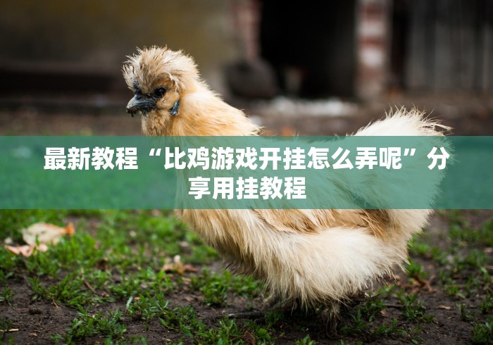 最新教程“比鸡游戏开挂怎么弄呢”分享用挂教程