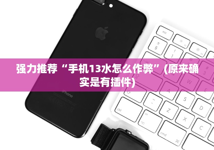 强力推荐“手机13水怎么作弊”(原来确实是有插件)