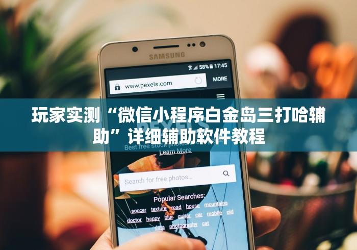 玩家实测“微信小程序白金岛三打哈辅助”详细辅助软件教程