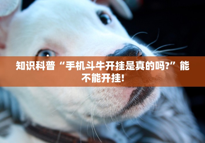 知识科普“手机斗牛开挂是真的吗?	”能不能开挂!