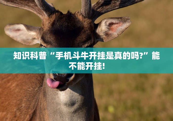 知识科普“手机斗牛开挂是真的吗?	”能不能开挂!