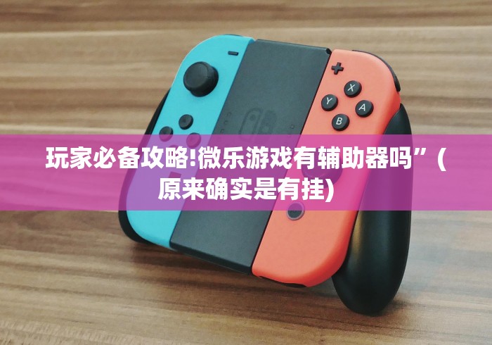 玩家必备攻略!微乐游戏有辅助器吗”(原来确实是有挂)