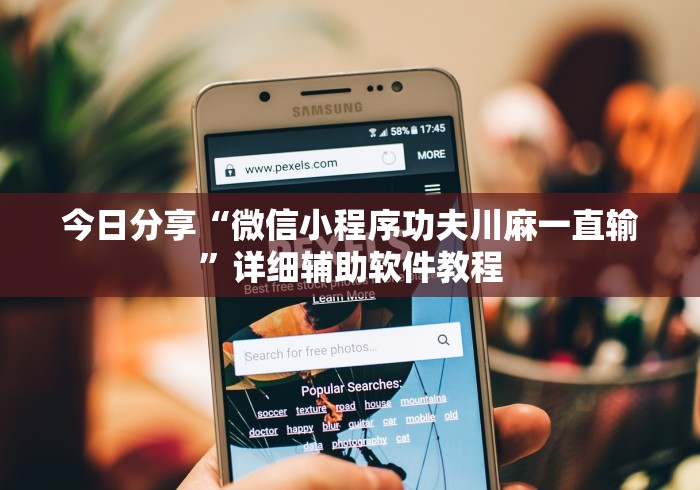 今日分享“微信小程序功夫川麻一直输”详细辅助软件教程