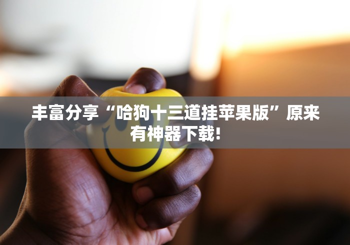 丰富分享“哈狗十三道挂苹果版”原来有神器下载!