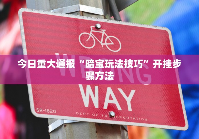 今日重大通报“暗宝玩法技巧”开挂步骤方法