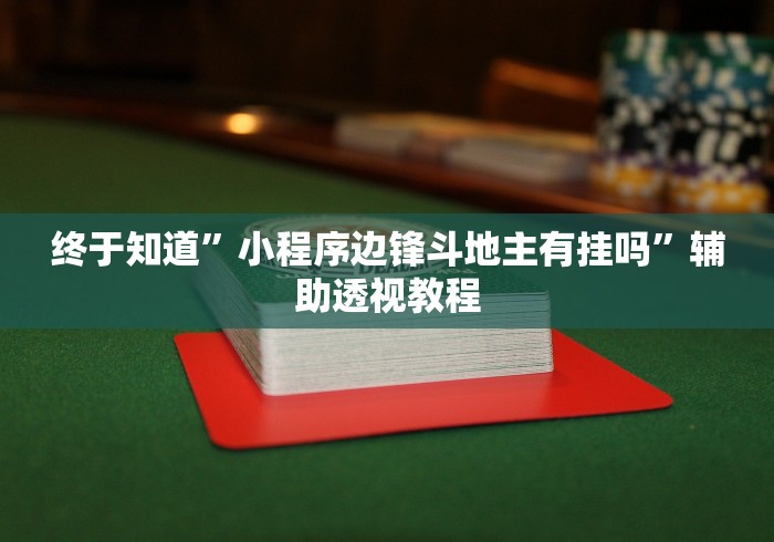 终于知道	”小程序边锋斗地主有挂吗”辅助透视教程