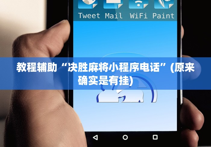 教程辅助“决胜麻将小程序电话”(原来确实是有挂)